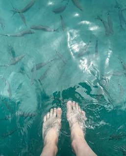 Alexandra Daddario feet photo thumbnail
