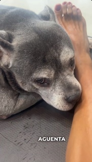 Gracyanne Barbosa feet photo thumbnail