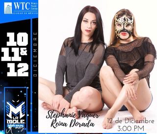 Stephanie Vaquer feet photo 4