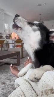 Becky G feet photo thumbnail