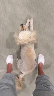 Jenna Ezarik feet photo thumbnail