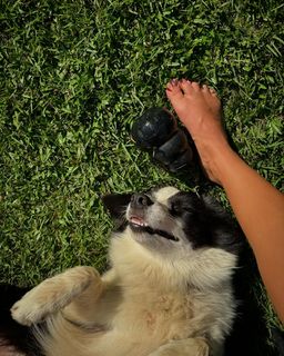 Giovanna Lancellotti feet photo thumbnail