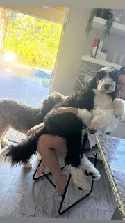 Chelsea Green feet photo thumbnail