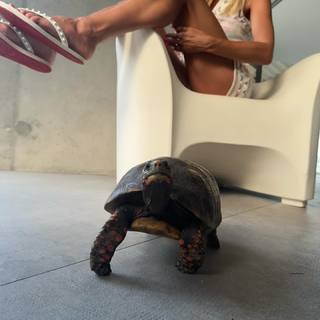 Heidi Klum feet photo thumbnail