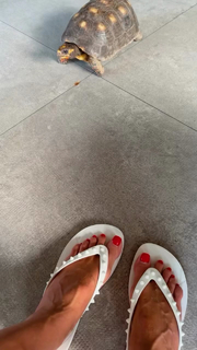 Heidi Klum feet photo thumbnail