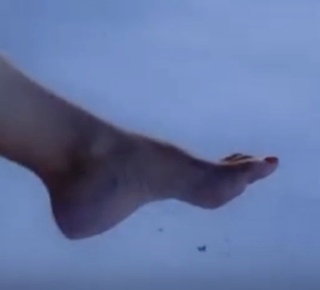 Lisa Robertson feet photo 2