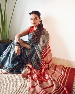 Dia Mirza feet photo thumbnail