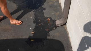 Brittney Smith feet photo thumbnail