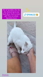 Angela Kinsey feet photo thumbnail