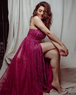 Hansika Motwani feet photo thumbnail