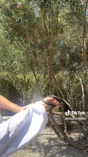 Kylie Jenner feet photo thumbnail