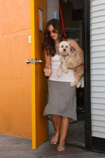 Minka Kelly feet photo thumbnail