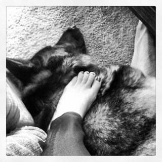 Daniella Monet feet photo thumbnail
