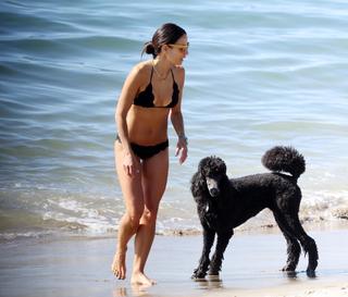 Jordana Brewster feet photo thumbnail