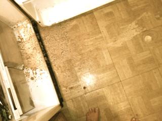 Phoebe Tonkin feet photo thumbnail