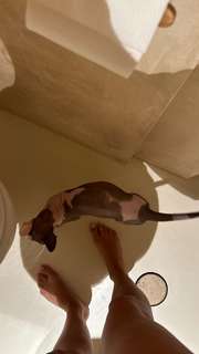 Corinna Kopf feet photo thumbnail