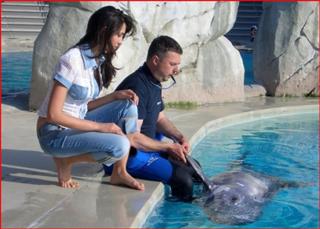 Caterina Balivo feet photo thumbnail