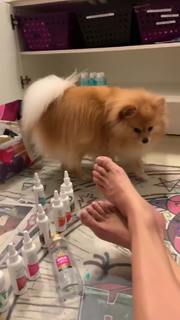 Flávia Alessandra feet photo thumbnail