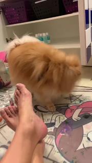 Flávia Alessandra feet photo thumbnail