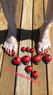 Franciely Freduzeski feet photo thumbnail