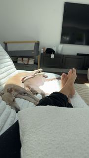 Scarlet Vas feet photo thumbnail