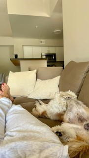 Karolina Kowalkiewicz feet photo 5