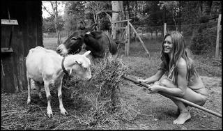 Brigitte Bardot feet photo 5