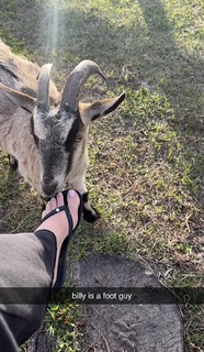 Corinna Kopf feet photo thumbnail