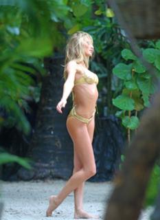 Candice Swanepoel feet photo thumbnail