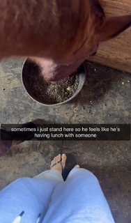 Corinna Kopf feet photo thumbnail