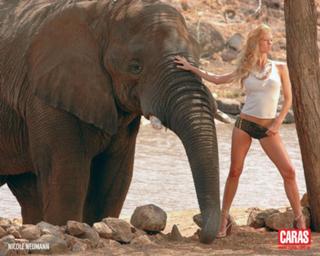 Nicole Neumann feet photo thumbnail
