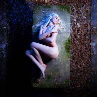 Taylor Momsen feet photo 4