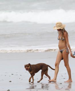 Gisele Bündchen feet photo thumbnail