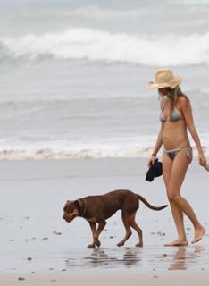 Gisele Bündchen feet photo thumbnail