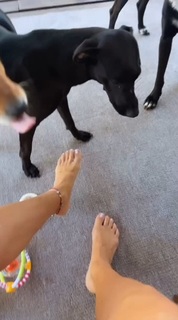 Nicole Neumann feet photo thumbnail
