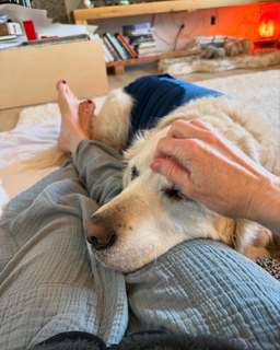 Elizabeth Mitchell feet photo 3