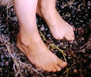 Samantha Brown feet photo 2