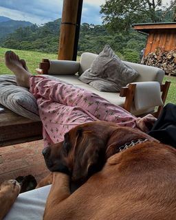 Alessandra Negrini feet photo 3