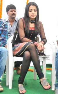 Trisha Krishnan feet photo thumbnail