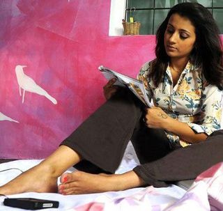 Trisha Krishnan feet photo thumbnail