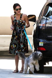 Rachel Bilson feet photo thumbnail