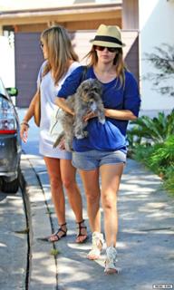 Rachel Bilson feet photo thumbnail