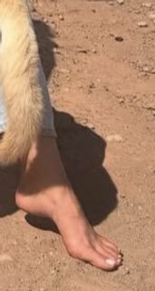 Delphine Wespiser feet photo 3