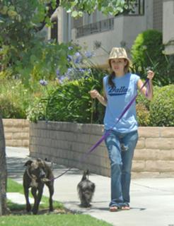 Rachel Bilson feet photo thumbnail