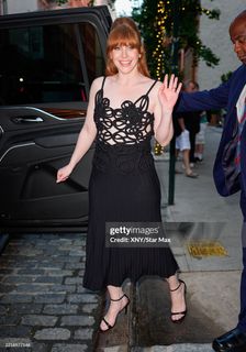Bryce Dallas Howard feet photo 4