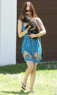 Rachel Bilson feet photo thumbnail