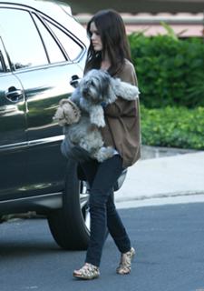 Rachel Bilson feet photo thumbnail