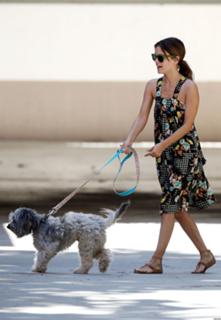 Rachel Bilson feet photo thumbnail