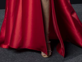 Paula Fernandes feet photo 1