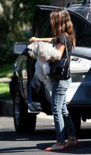 Rachel Bilson feet photo thumbnail